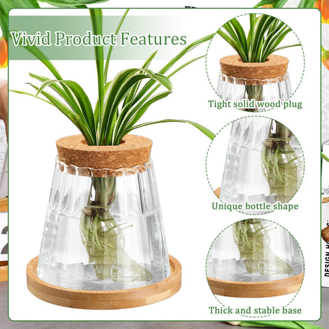 Beeveer jars on windowsill or desk enable easy viewing