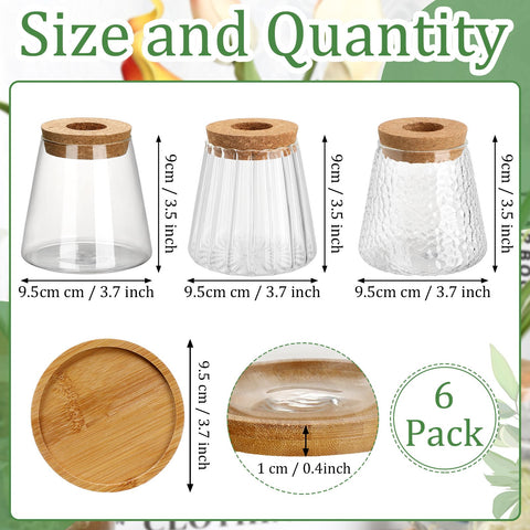 Beeveer wood lid and stand providing durable display
