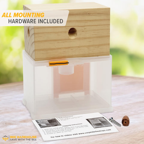 Bee Warehouse carpenter bee trap catch chamber open shows easy release access.