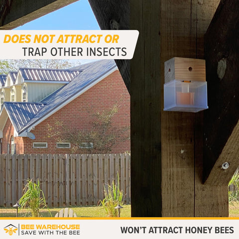 Bee Warehouse trap hanging hardware enables convenient outdoor placement.