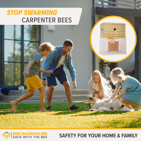 Bee Warehouse carpenter bee trap large catch chamber reduces frequent emptying.