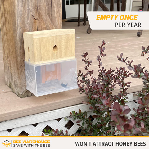 Bee Warehouse trap latch mechanism demonstrates simple control for release.