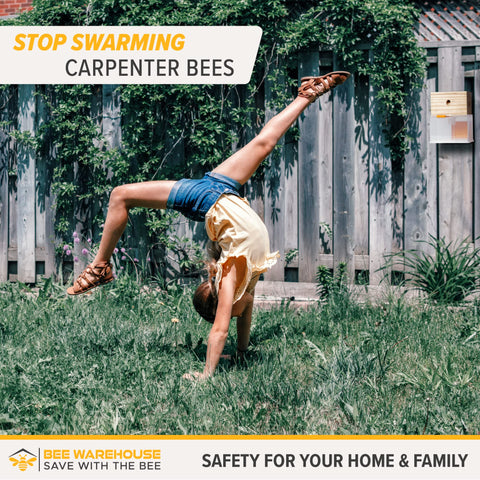 Bee Warehouse carpenter bee trap outdoor installation in a yard setting.