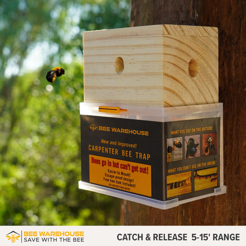 Bee Warehouse trap side view highlights durable construction and mounting options.