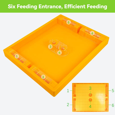 BEEXTM Hive feeder fits 10 frame Langstroth hives for versatile use.