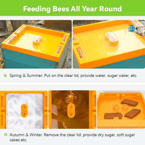 BEEXTM Bee Feeder with six entrances for smooth bee access.