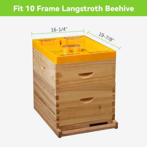 BEEXTM Bee Feeder transparent cover shows status for quick checks.