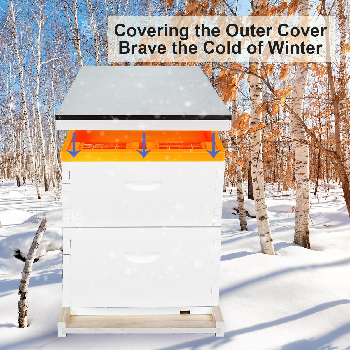 BEEXTM Weatherproof design supports year round feeding in any climate.