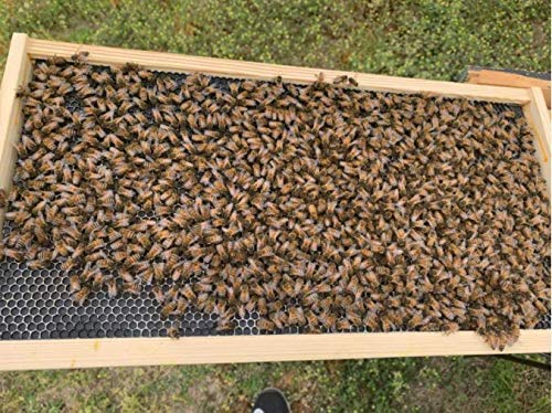 BEEXTM foundation sheet in frame showing easy groove fit.