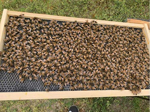 BEEXTM foundation sheet in frame showing easy groove fit.