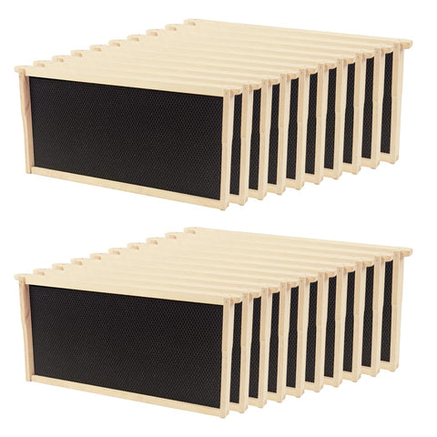 BEEXTM beehive frames with deep brood kit for quick, organized inspections.