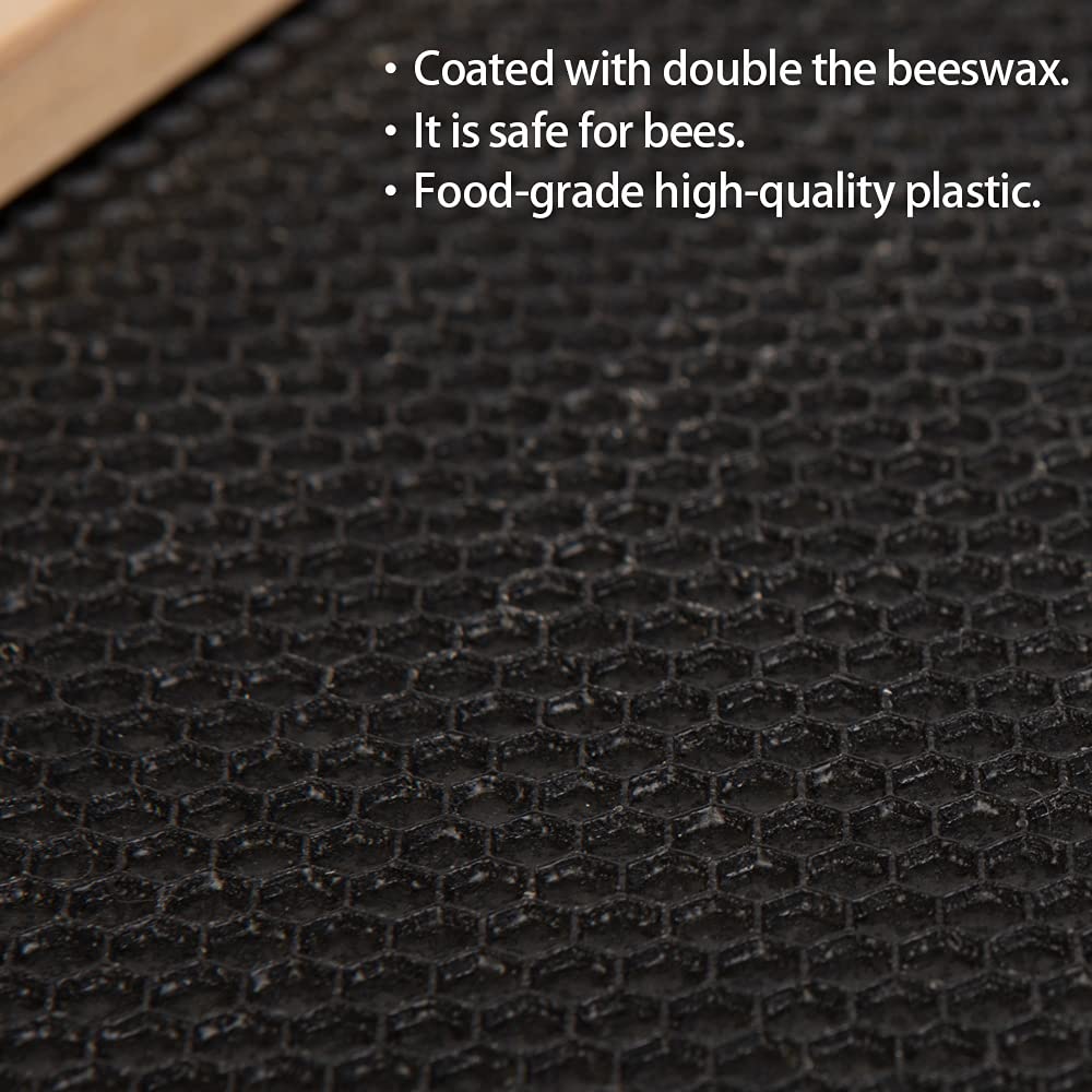 BEEXTM beeswax-coated foundation supports even comb growth inside hives