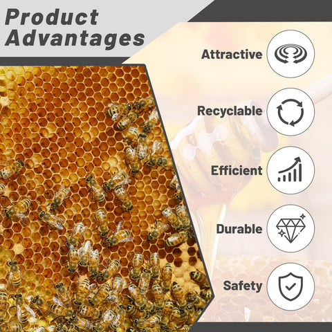 BEEXTM beeswax-coated foundation close-up for natural comb support.