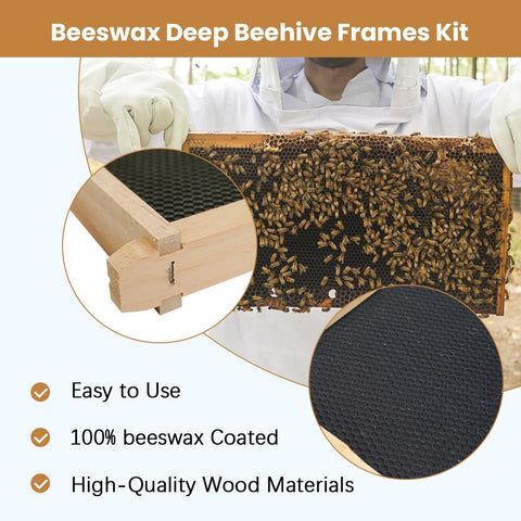 BEEXTM beeswax-coated foundations support natural comb growth and efficient honey production.