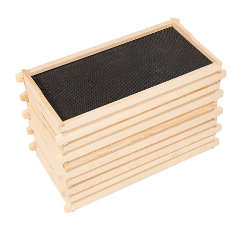 BEEXTM kit includes frames and nails for efficient assembly