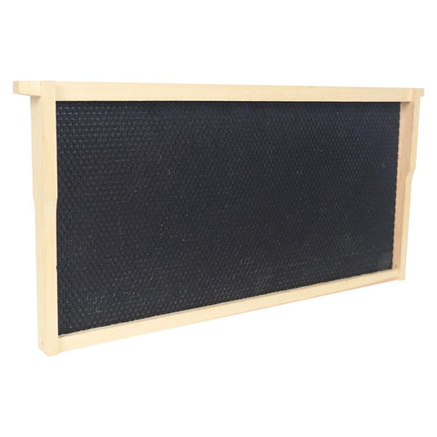 BEEXTM standard deep brood box dimensions fit Langstroth frames for compatibility.