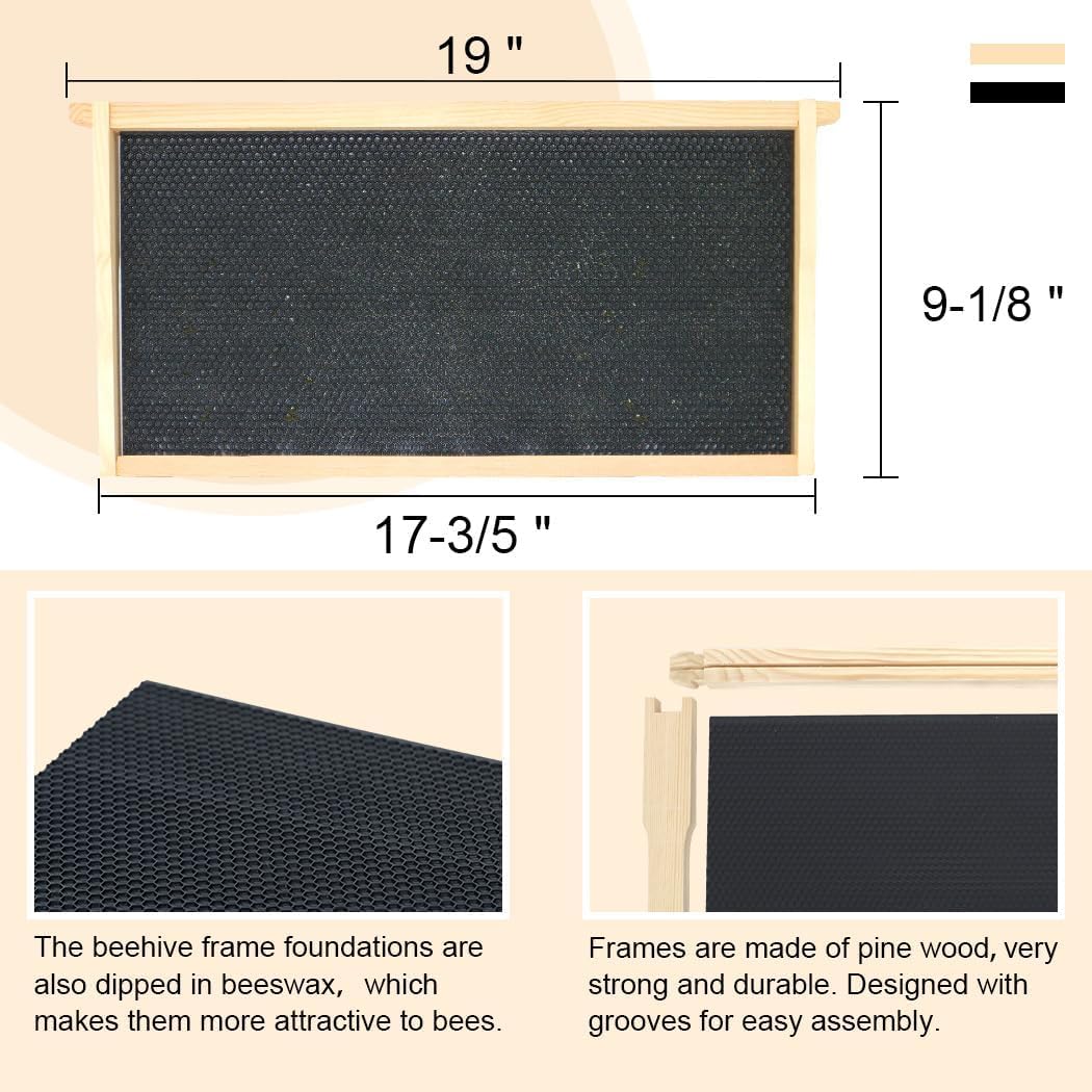 BEEXTM wax-coated foundations in plastic, beeswax-dipped for stable comb development