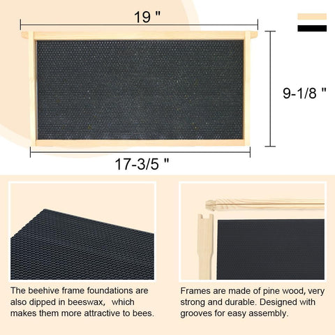 BEEXTM wax-coated foundations in plastic, beeswax-dipped for stable comb development