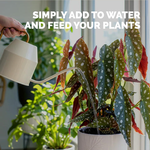 TPS NUTRIENTS Begonia Fertilizer supports healthy growth in potted begonias.