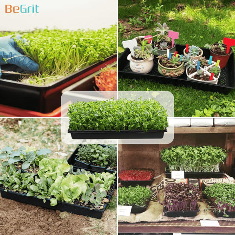 BeGrit 1020 tray used for microgreen propagation and seedling support.