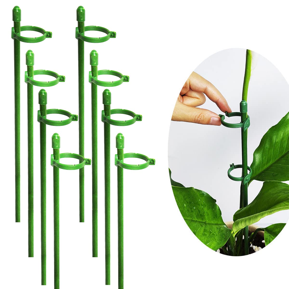 Belit 8-pack small plant stakes close-up for sturdy stem support.