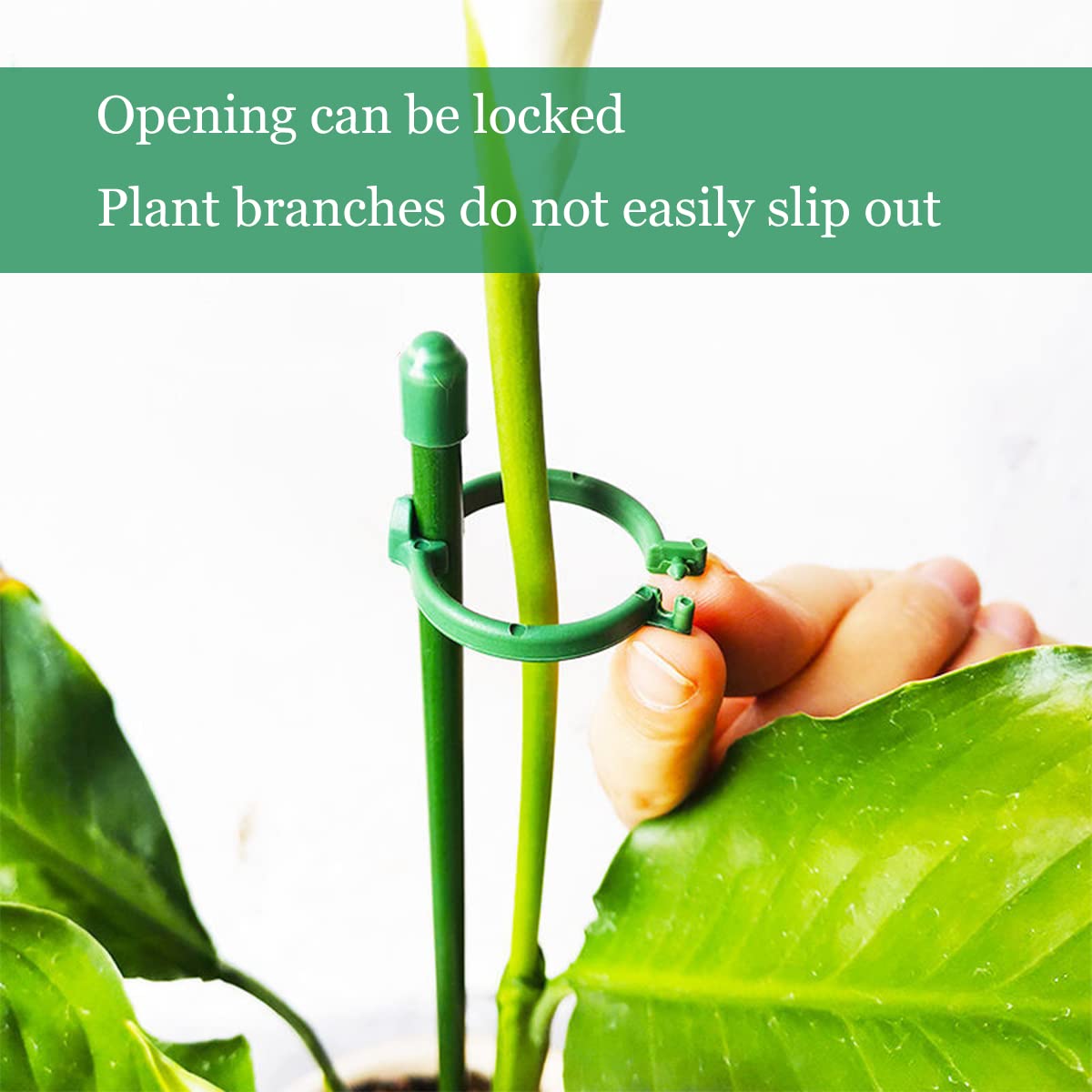 Belit adjustable buckle close-up showing secure locking for stems.