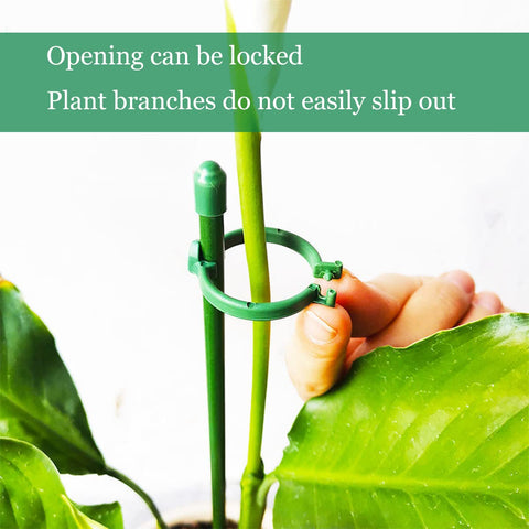 Belit adjustable buckle close-up showing secure locking for stems.