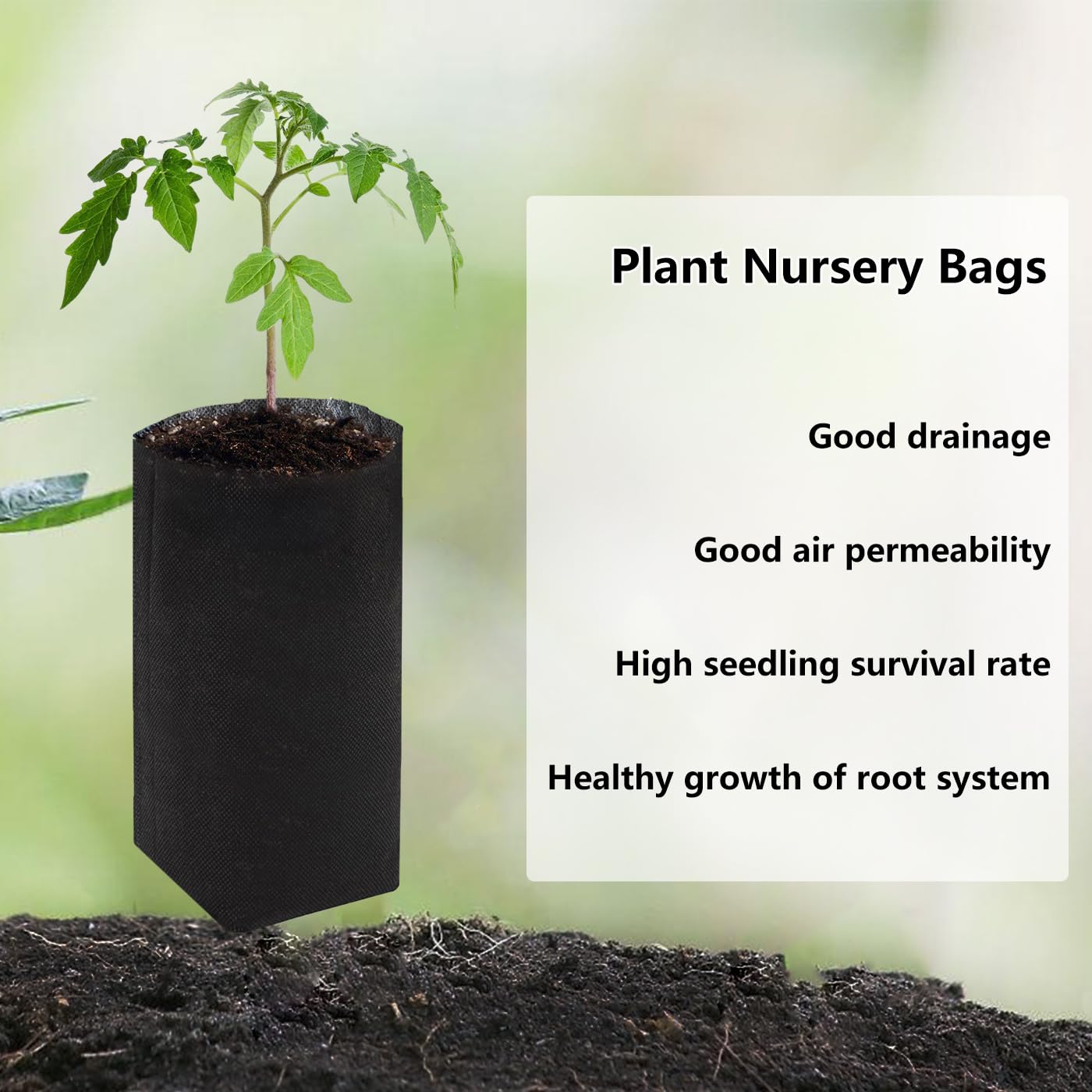 Belit deep nursery bags open top enables direct ground planting and healthy roots