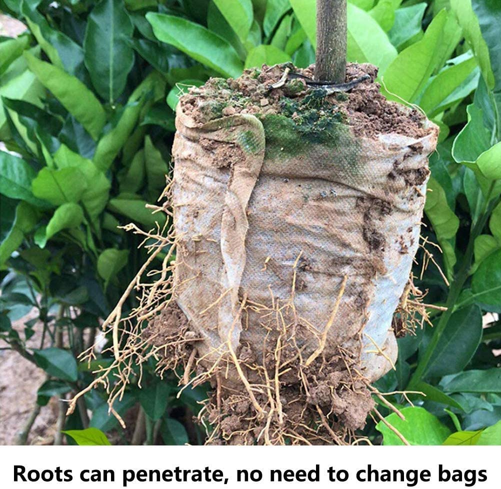 Belit garden-use bags ready for direct ground planting.