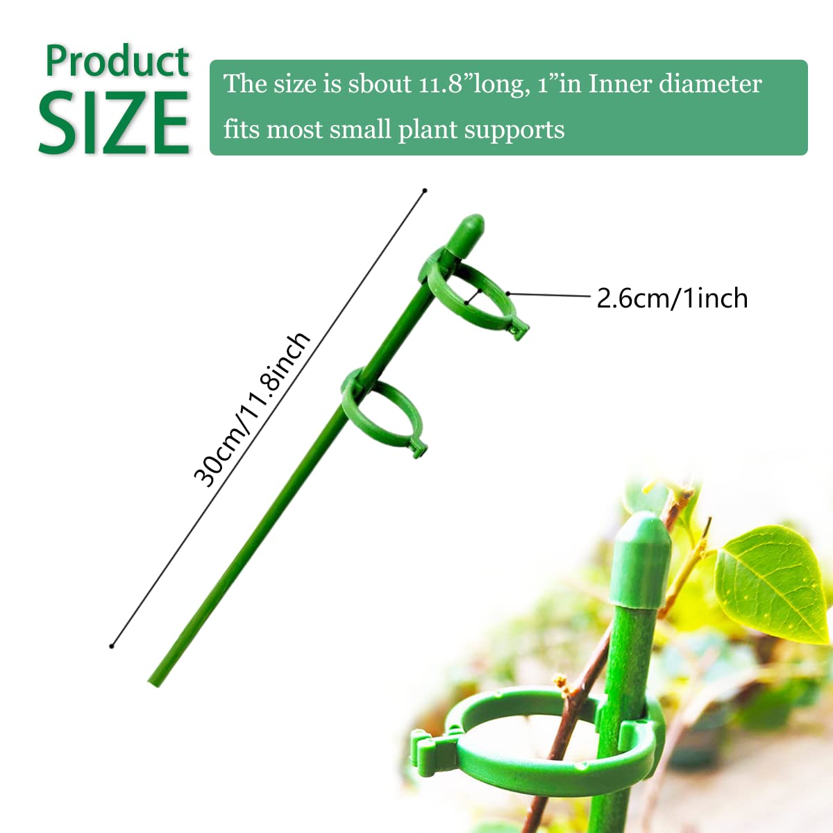 Belit green stake set packaging image for easy garden setup.
