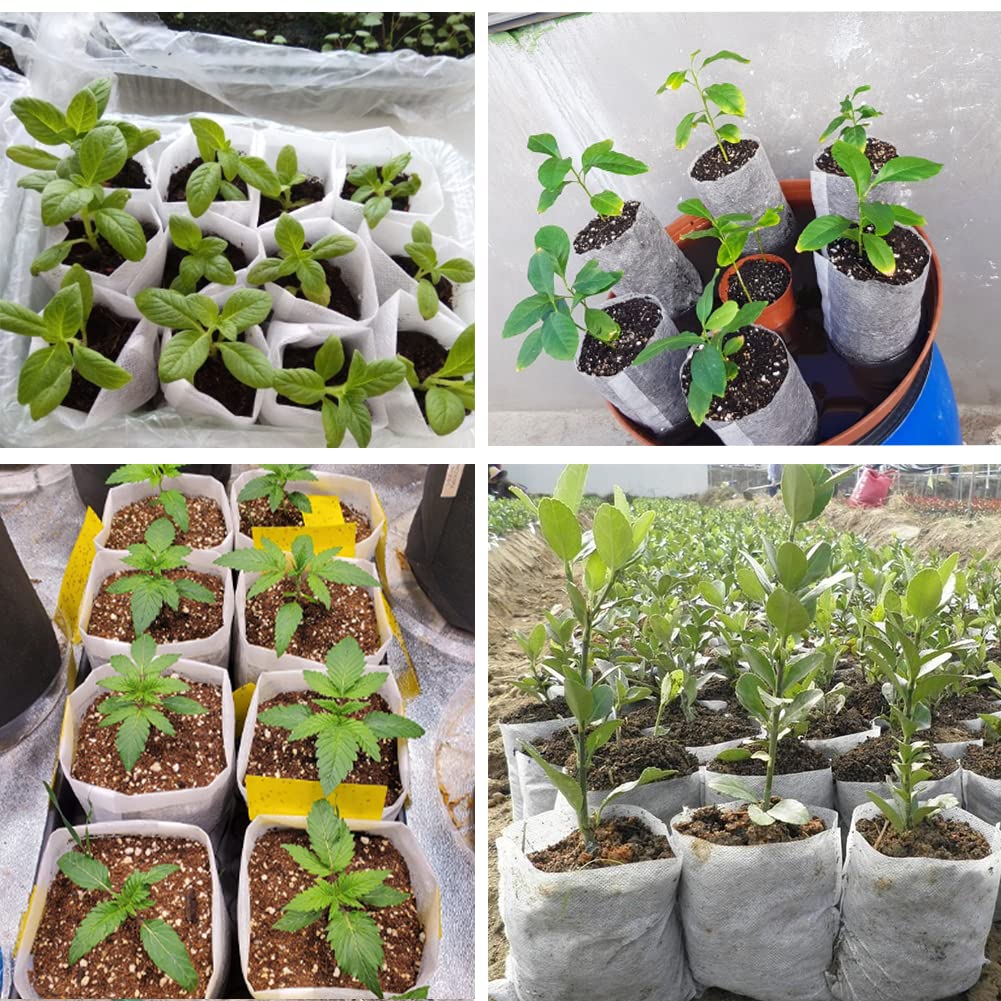 Belit high-volume nursery bags ideal for nurseries and home gardens.