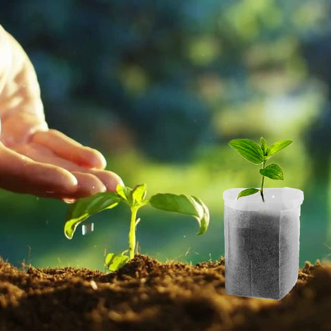 Belit non-woven root bags show drainage and air flow benefits for seedlings.