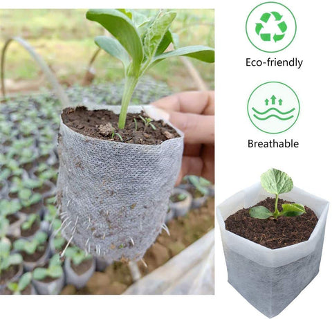 Belit nursery bags packaging view highlights easy handling and efficient plant start.