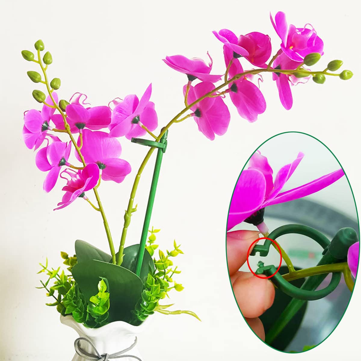 Belit orchid-rose-peony support in action promotes tidy growth.