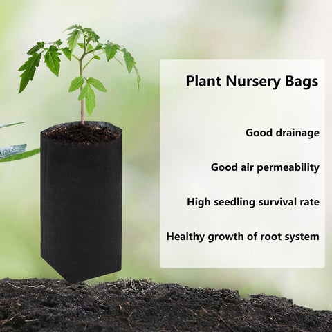 Belit seedling bag demonstrates root penetration and tender growth