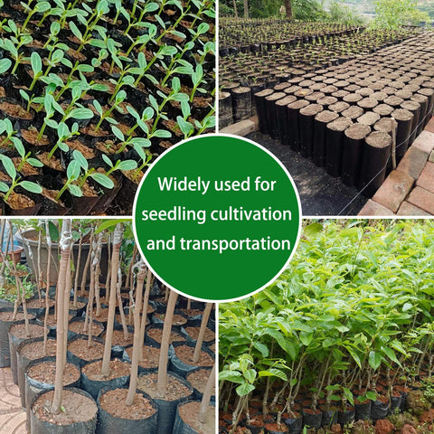 Belit seedling bag supports sapling growth at 3-5x6-6