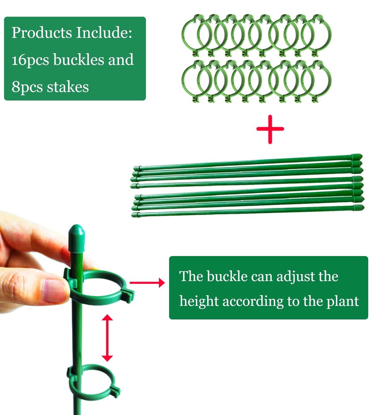 Belit stem support in garden keeps delicate roses upright.