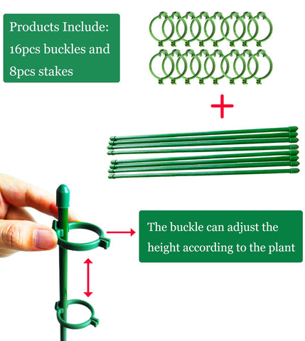 Belit stem support in garden keeps delicate roses upright.