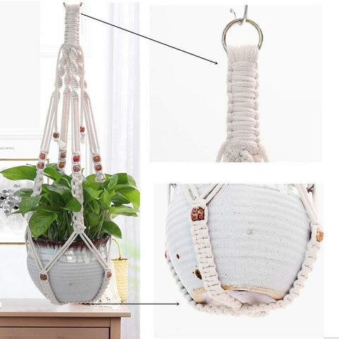 Belit versatile hanging planter for ceiling or wall display