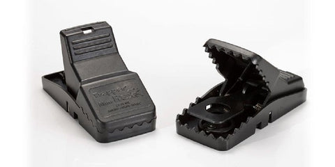 Bell Laboratories Trapper Mini T-rex trap with integrated bait cup for better attractiveness.