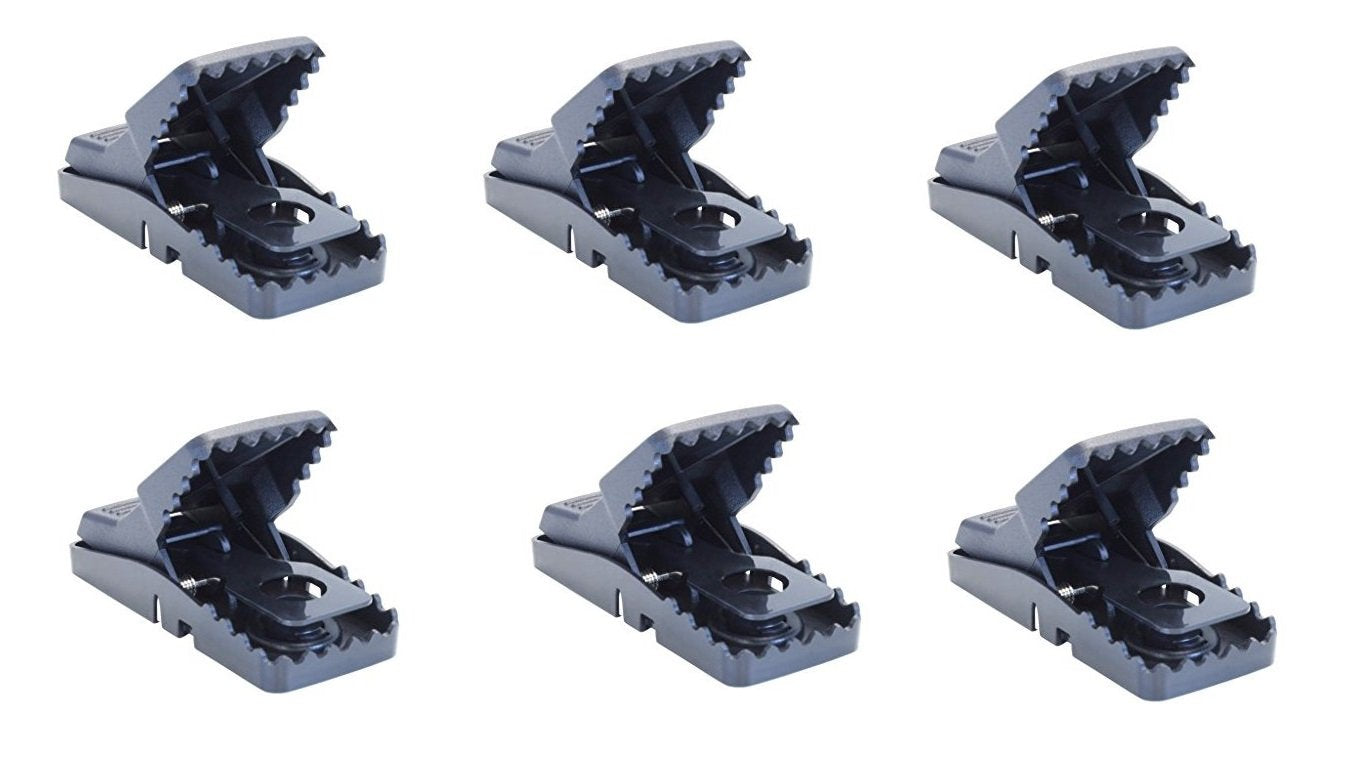 Bell Laboratories Trapper Mini T-rex trap front view shows easy one-handed set.