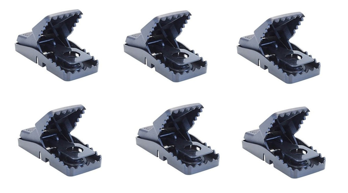 Bell Laboratories Trapper Mini T-rex trap front view shows easy one-handed set.