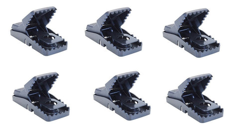 Bell Laboratories Trapper Mini T-rex trap front view shows easy one-handed set.
