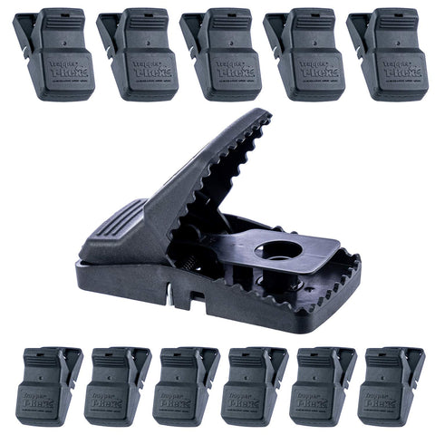 Bell Laboratories Trapper T-Rex rat trap setup demonstrates secure wall placement and quick reset.