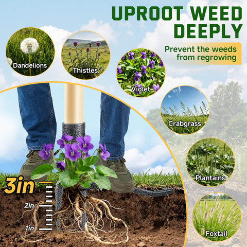 BellaJoyz weed remover disassembles into three parts for compact storage.