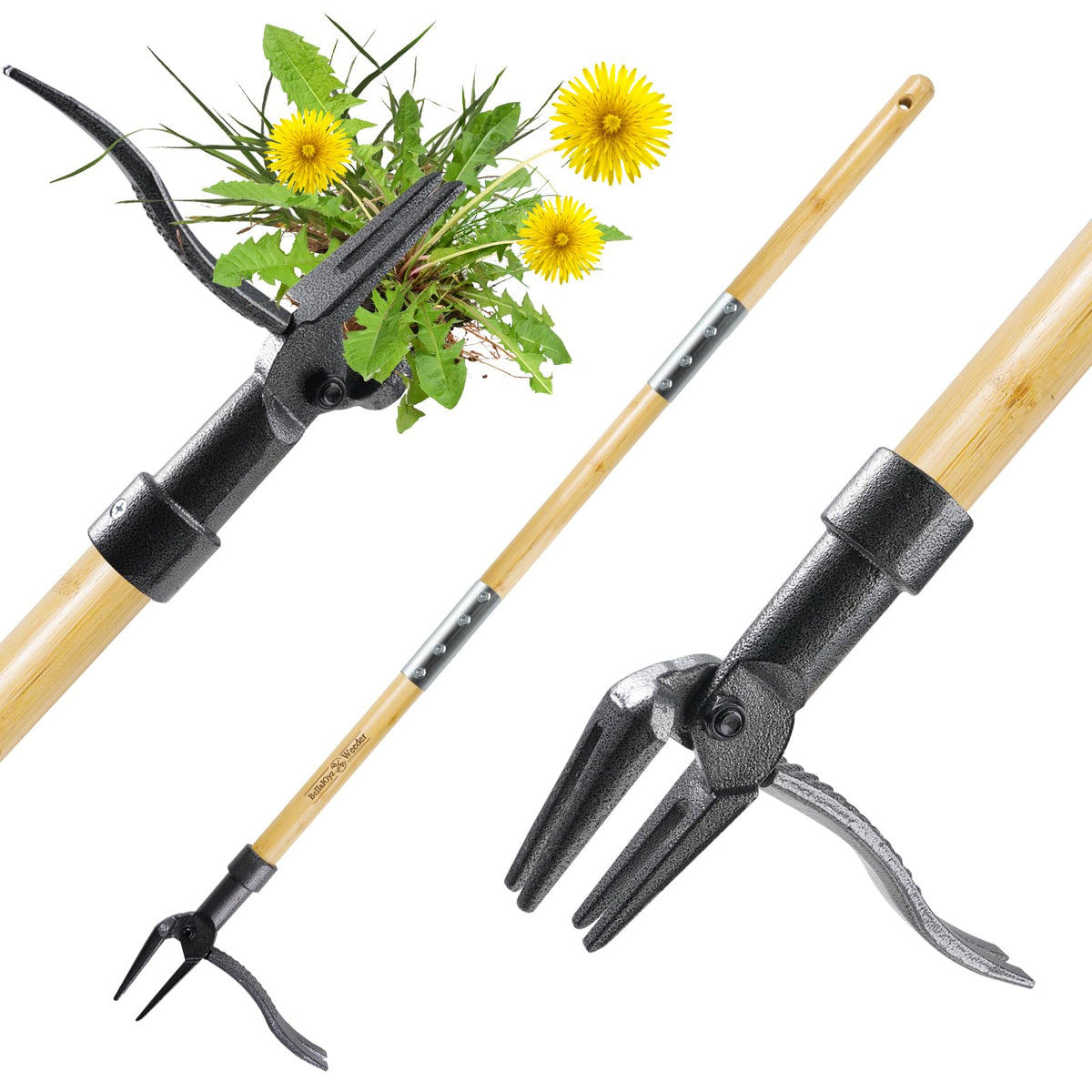 BellaJoyz Weeder 46inch stand-up in action, enabling comfortable weed removal.