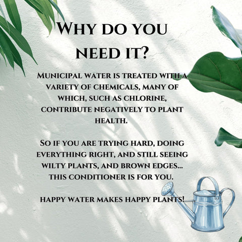 Bellawood Horticulture water conditioner ph balance helps maintain a plant-friendly soil environment.