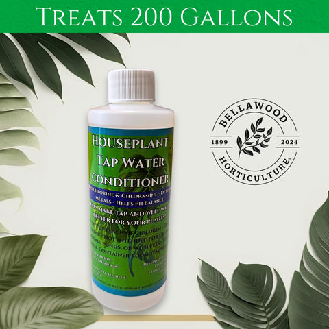 Bellawood Horticulture water conditioner pour demonstrates easy, quick dosage for daily plant watering.