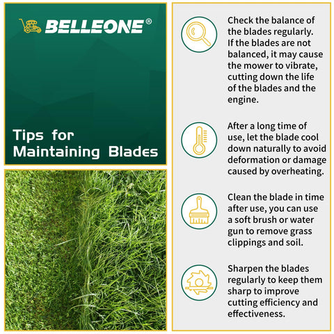 Belleone 038-0002-00 six-pack blades packaging demonstrates value option