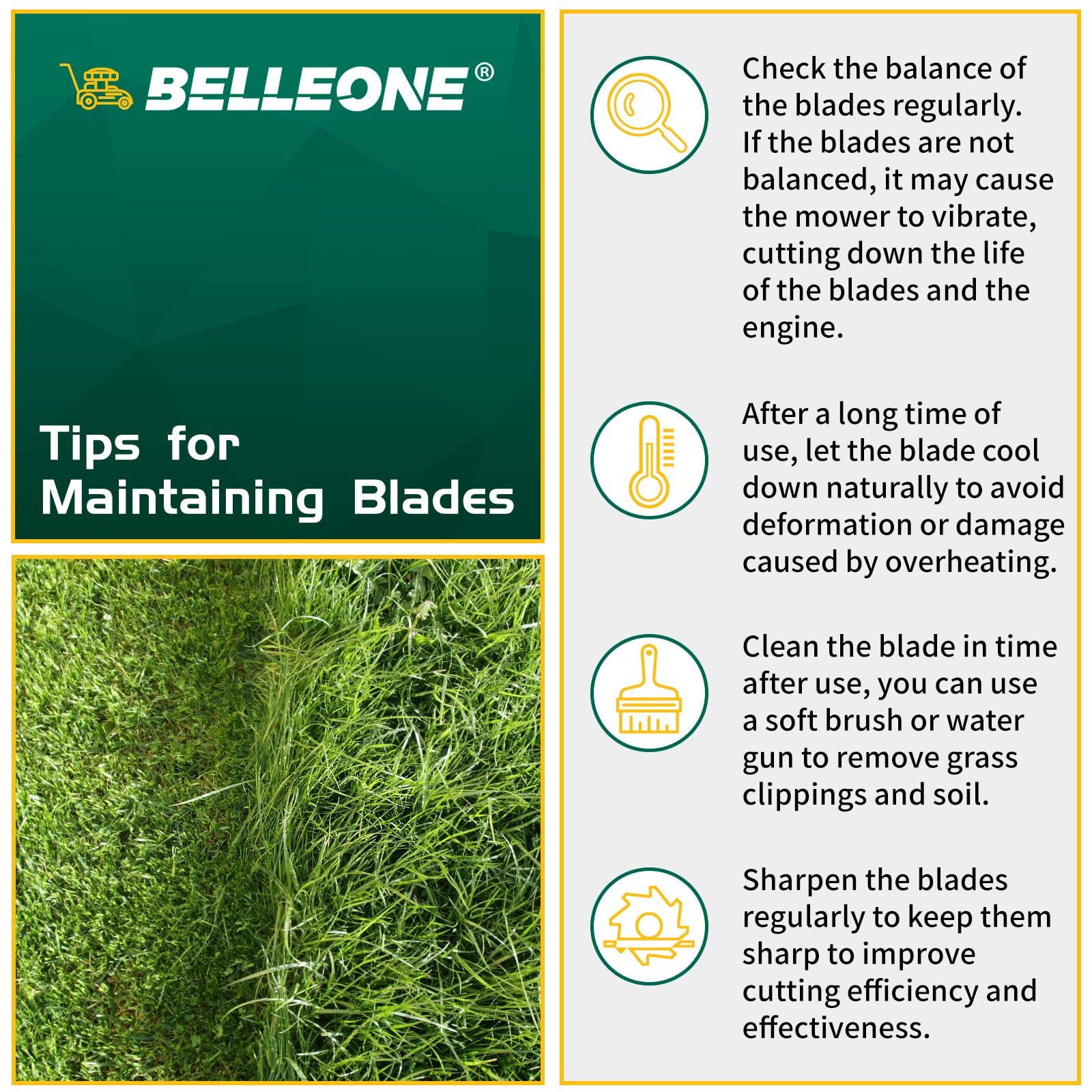 Sharp edge geometry enabling clean cuts and reduced splash.